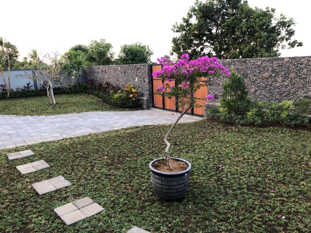 Villa Rosa East Bali Karangasem Esterno foto